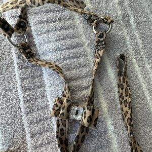 Leopard Print Dog Harness and Leash Set